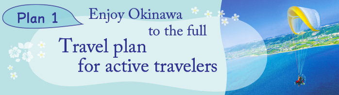 2 days (an overnight travel) Enjoy Okinawa to the full Travel plan for active travelers