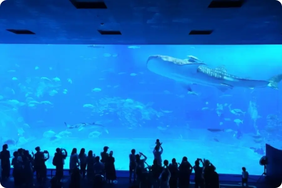 美ら海水族館