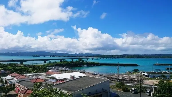 Whale shark and Kouri Island course from hotels near the headquarters