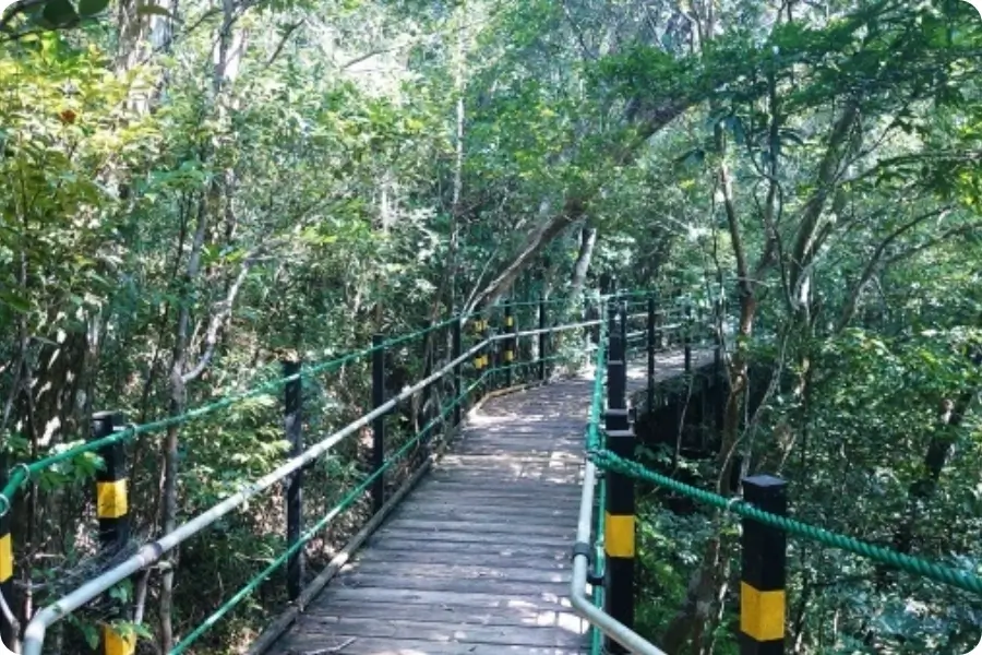 Yanbaru Learning Forest